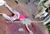 Bantwal: Youth hacked to death by assailants at Maripalla; Six arrested